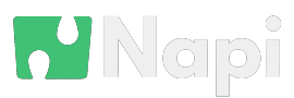 Napi Logo